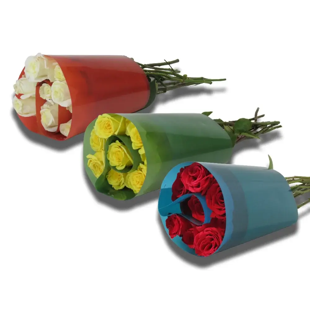 Lamina-para-Rosas-1 2